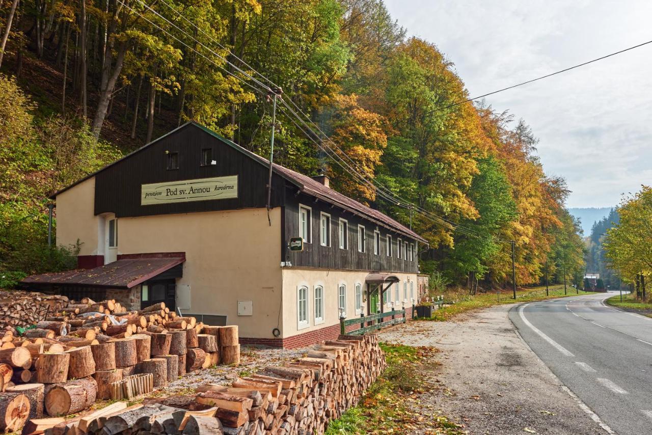 Pod Svatou Annou - Penzion A Rizkovna Горни-Маршов Экстерьер фото